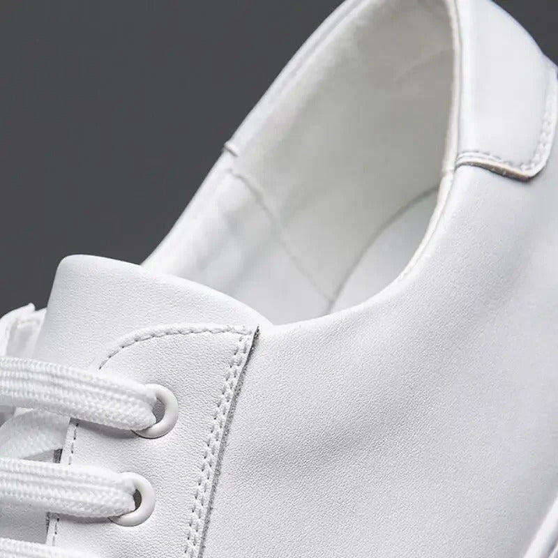 Enzo | Herren Ledersneaker